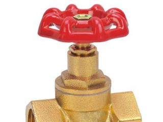 ��ͭ��ֹ��